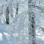 Facing The Sestriere Slopes 아파트 보르가타 세스트리에르