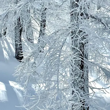 Facing The Sestriere Slopes Daire Borgata Sestriere