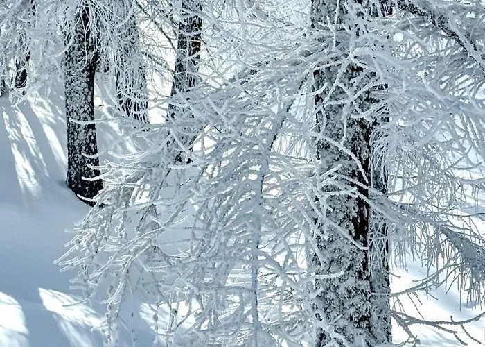 Facing The Sestriere Slopes Daire Borgata Sestriere